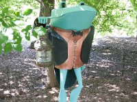 2016 - MortArboretumFrogs 0017 : Morton Arboritum, 2016 - Morton Frogs